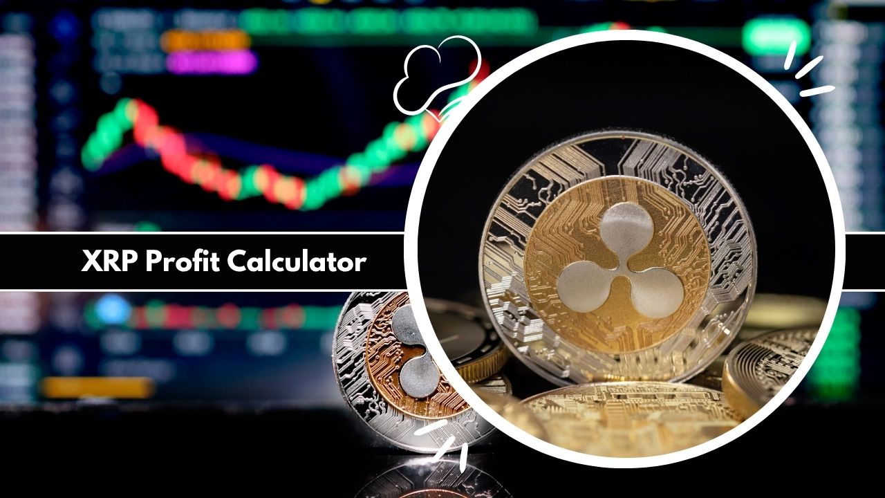 XRP Profit Calculator