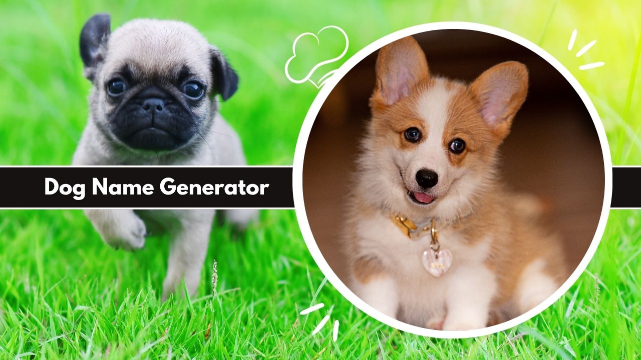 Dog Name Generator