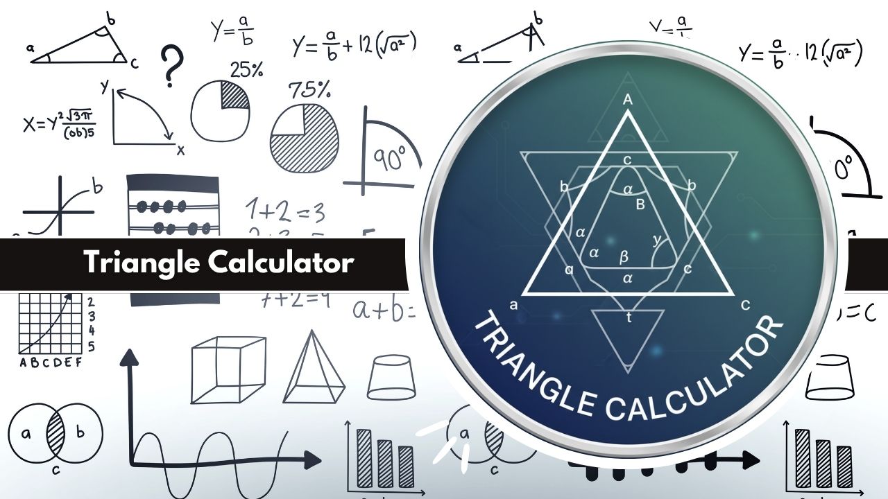 Triangle Calculator